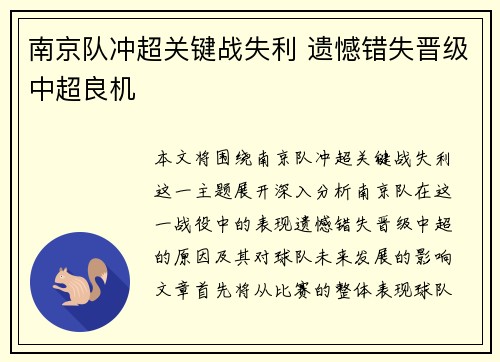 南京队冲超关键战失利 遗憾错失晋级中超良机